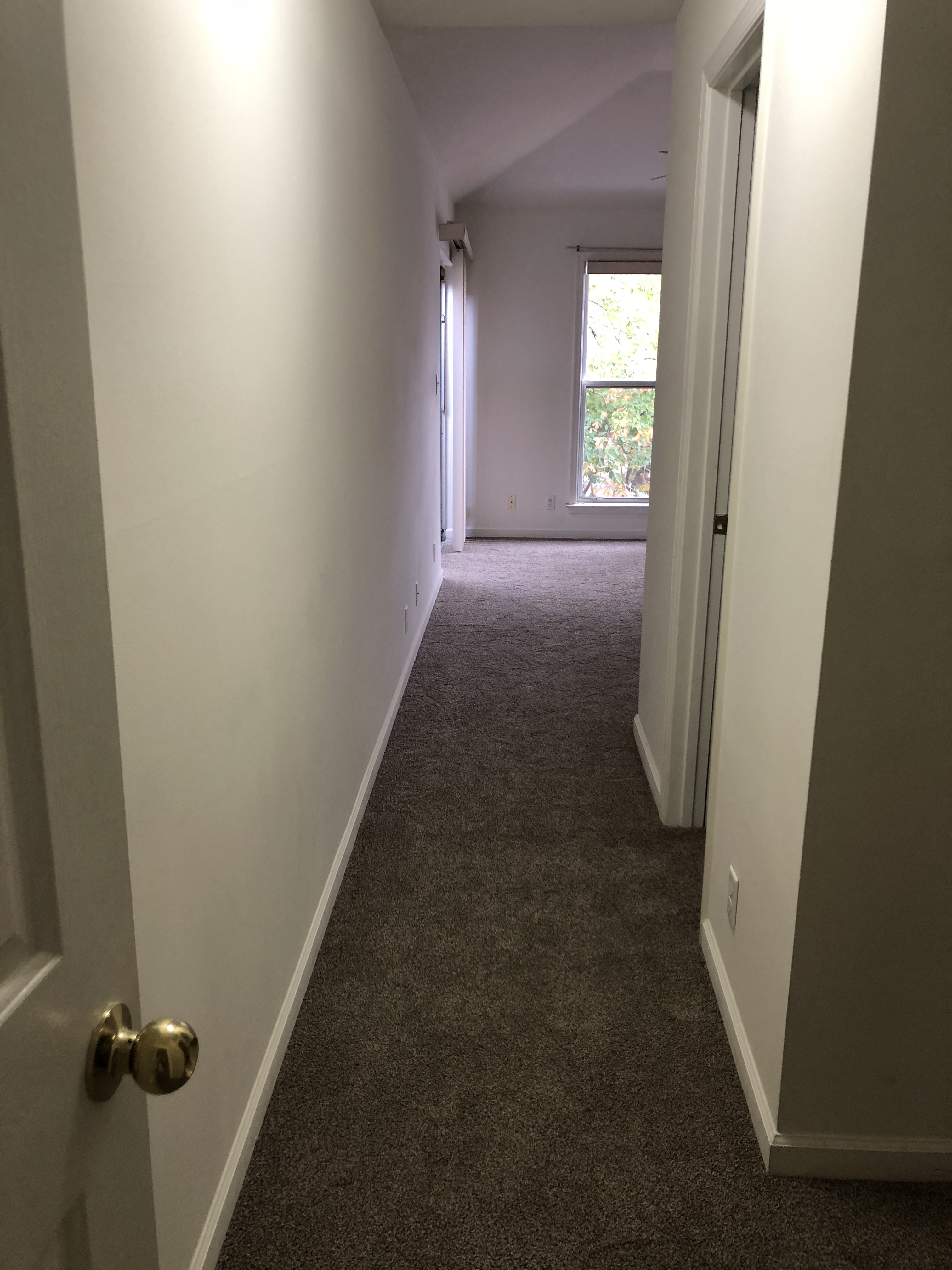 Gallery Photo 5